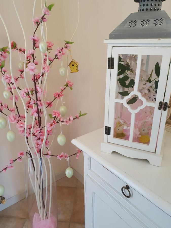 B&B Villa Maria Terni Buitenkant foto