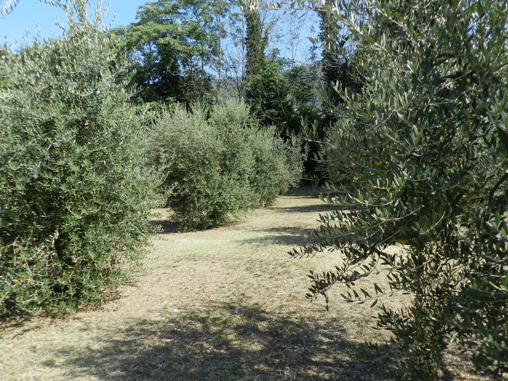 B&B Villa Maria Terni Kamer foto
